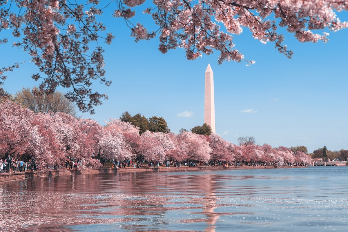 Washington Monument in Washington, DC - international tax specialist serving Washington DC